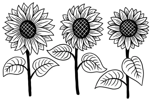 Set Van Zon Bloem Geïsoleerde Decoratieve Mooie Hand Getekend Illustratie — Stockvector