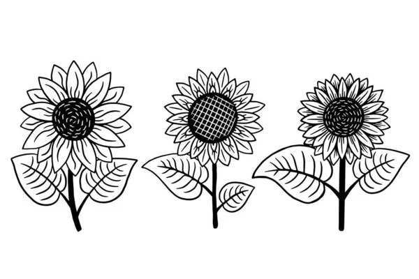Set Flor Solar Aislada Decorativa Hermosa Ilustración Dibujada Mano — Vector de stock