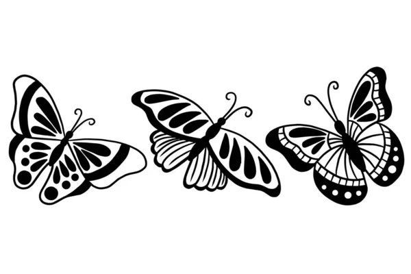 Conjunto Colección Mariposas Bastante Animal Dibujado Mano Ilustración — Vector de stock