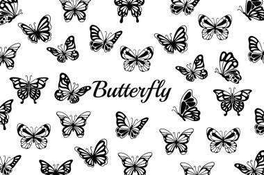 Güzel Kelebek Kelebekleri Koleksiyonu Hayvan Eli Çizimi