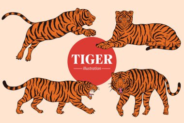 Set Tiger face wild poses isolated cartoon illustration