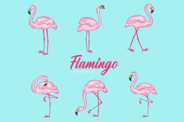Set of Cute Flamingo pink Bird flamingos Aesthetic Tropical Exotic Hand drawn flat style collection