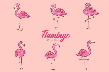 Şirin Flamingo pembe kuş flamingoları Tropikal Egzotik El düz stil koleksiyonu