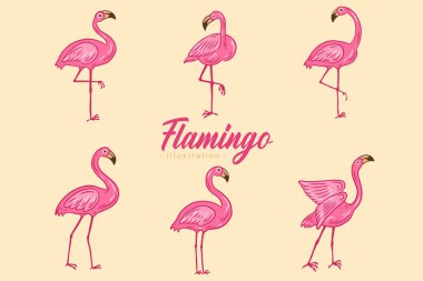 Şirin Flamingo pembe kuş flamingoları Tropikal Egzotik El düz stil koleksiyonu