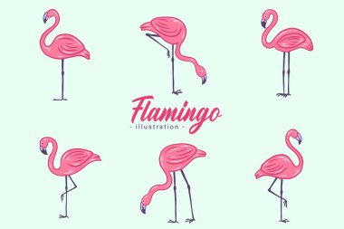 Set of Cute Flamingo pink Bird flamingos Aesthetic Tropical Exotic Hand drawn flat style collection