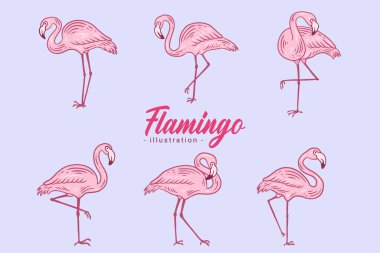 Set of Cute Flamingo pink Bird flamingos Aesthetic Tropical Exotic Hand drawn flat style collection