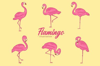 Set of Cute Flamingo pink Bird flamingos Aesthetic Tropical Exotic Hand drawn flat style collection
