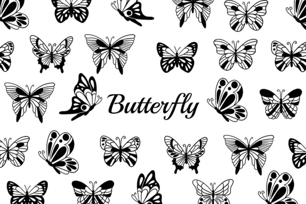 Set Collection Butterfly Cantik Kupu Kupu Animal Hand Menggambar Ilustrasi - Stok Vektor