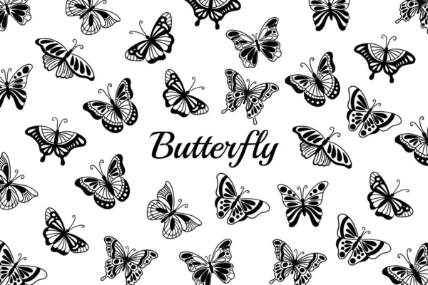 Set Collection Butterfly Cantik Kupu Kupu Animal Hand Menggambar Ilustrasi - Stok Vektor