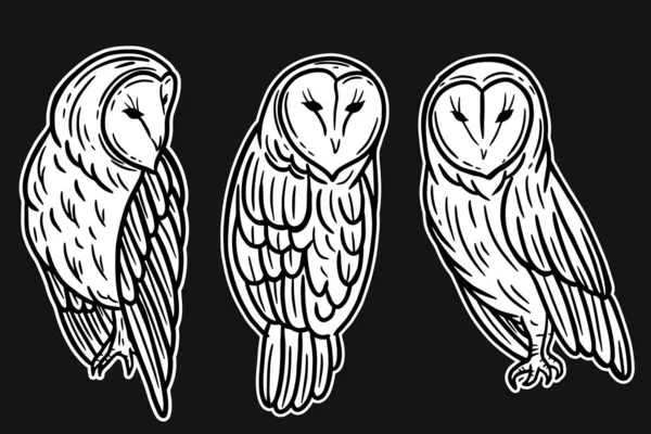 Set Owl Bird Animal Hand Drawn Tattoo Shirt Art Illustration — Vector de stock