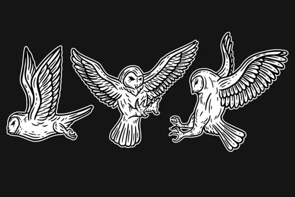 Set Owl Bird Animal Hand Drawn Tattoo Shirt Art Illustration — Stockvector