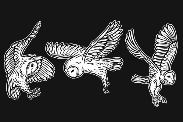 Set Owl Bird Animal Hand Drawn Tattoo Shirt Art Illustration — Image vectorielle