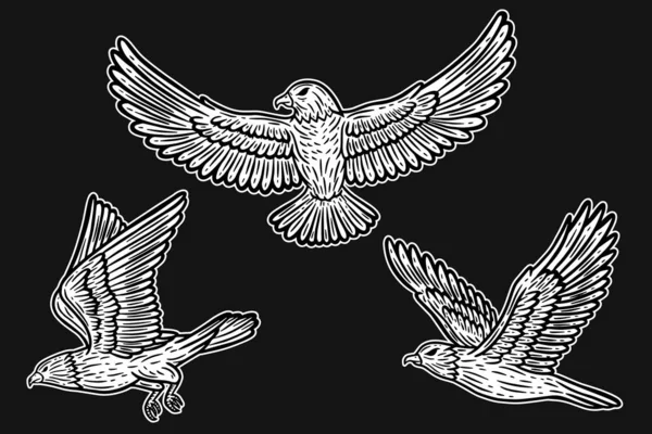Set Eagle Bird Animal Wings Flying Hand Drawn Tattoo Shirt — Stockvector