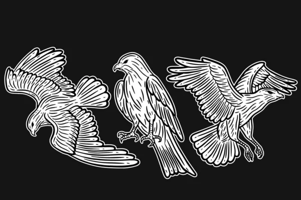 Set Eagle Bird Animal Wings Flying Hand Drawn Tattoo Shirt — Stockvector