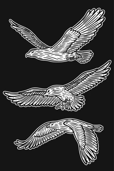 Set Owl Bird Hand Drawn Illustration — Stockvector