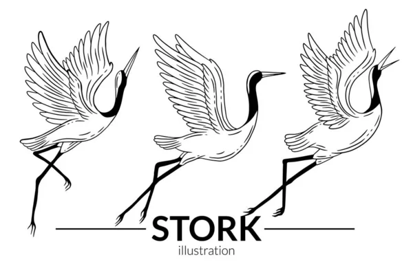 Set Stork Bird Flying Tropical Cartoon Wild Birds Cranes Hand — Image vectorielle