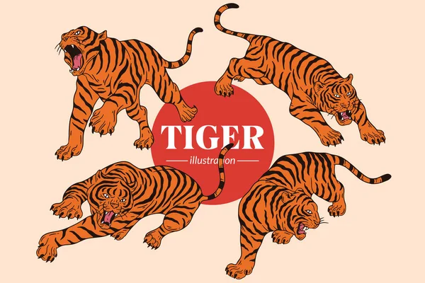 Set Tiger Face Wild Poses Isolated Cartoon Illustration — Stock Vector