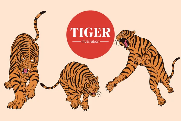 Set Tiger Face Wild Poses Isolated Cartoon Illustration — Stock Vector