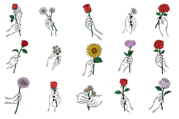 Set Mega Collection Bundle Women Hand Holding Rose Flower Gesture — Vector de stock