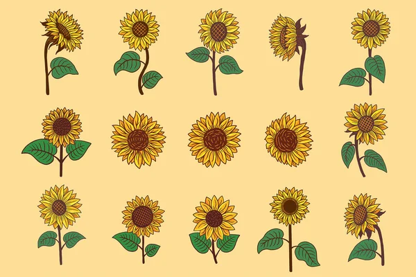 Set Huge Collection Bundle Sunflower Summer Floral Nature Plant Aesthetic — ストックベクタ