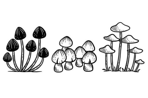 Set Mushroom Healthy Food Engraved Hand Drawn Outline Illustration — Vector de stock