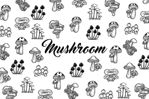 Set Mushroom Healthy Food Engraved Hand Drawn Outline Illustration — Stockvektor