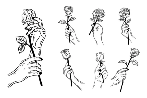 Set Bundle Line Art Drawing Simple Rose Flower Hand Holding — Stock vektor