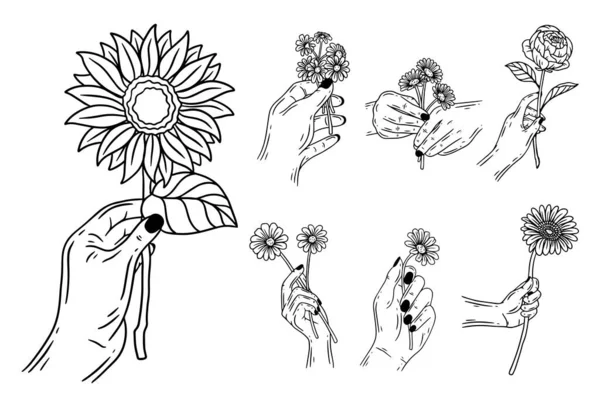 Set Bundle Line Art Drawing Simple Sun Flower Hand Holding — ストックベクタ
