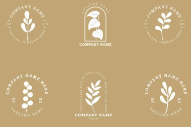 Minimalist White Leaf Leaves Tropical Logo Collection Style Cream Pastel Background.