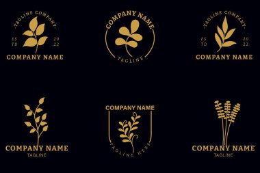 Minimalist Gold Leaf Leaves Tropical Logo Collection Style Dark Black Background.