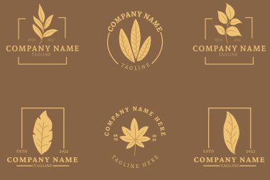 Minimalist Lite Yellow Leaf Leaves Tropical Logo Collection Style Chocolate Pastel Background.