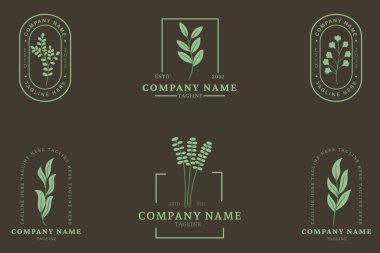 Minimalist Soft Green Animal Insect Logo Collection Style Chocolate Background.