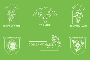 Minimalist Logo Gray Templates Set Mystical Collection Element On Green Pastel Background.