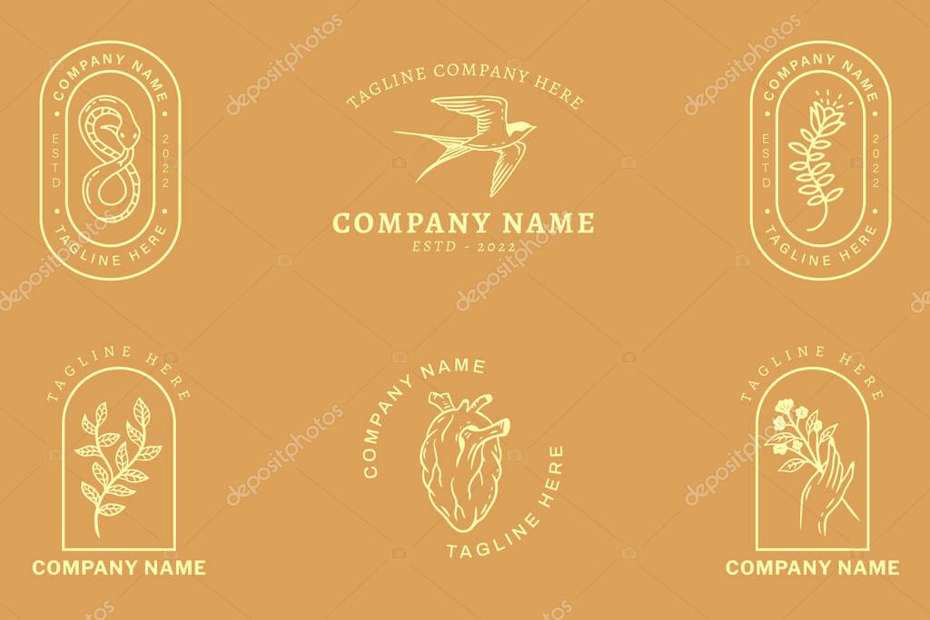 Minimalist Logo Light Orange Templates Set Mystical Collection Element On Orange Background.