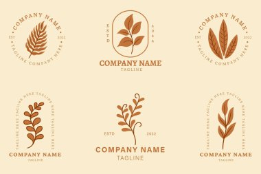 Minimalist Orange Leaf Leaves Nature Logo Collection Style Orange Pastel Background.