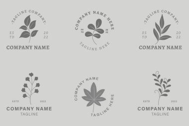 Minimalist Dark Gray Leaf Leaves Nature Logo Collection Style Gray Pastel Background.