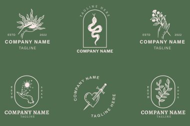 Minimalist White Mystical Logo Templates With Element On Green Pastel Background.