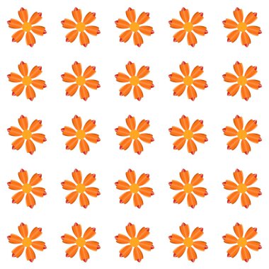 Renkli Çiçekler Şablonu, profesyonel, modern, renkli, kusursuz ve zarif tasarımlarınız, arka planınız ve dokuma katmanlı, düzenli ve düzenlenebilir bir şablondur.