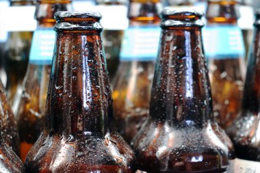ıslak cam bira şişesi geri dönüşüm için hazır.