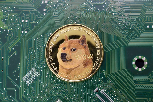 Shiba Inu altın Dogecoin kripto parasına karşı koyu yeşil anakart.