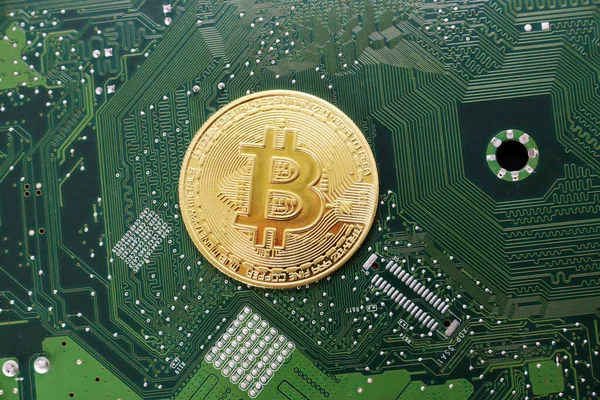 Bitcoin kripto para birimi koyu yeşil devre kartına karşı.