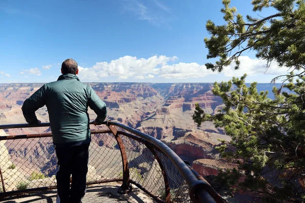older man overlooking Grand Canyon