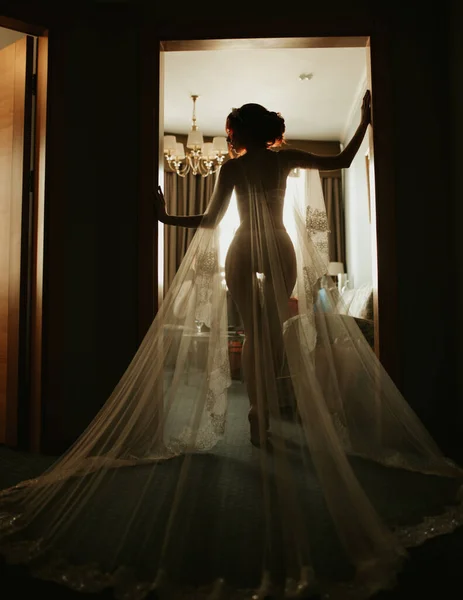Silhouette Une Mariée Dans Long Voile Images De Stock Libres De Droits