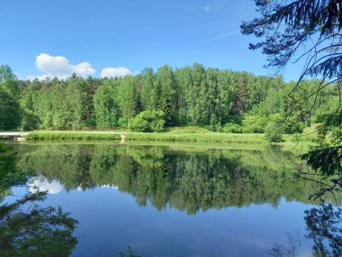 Ormandaki küçük göl