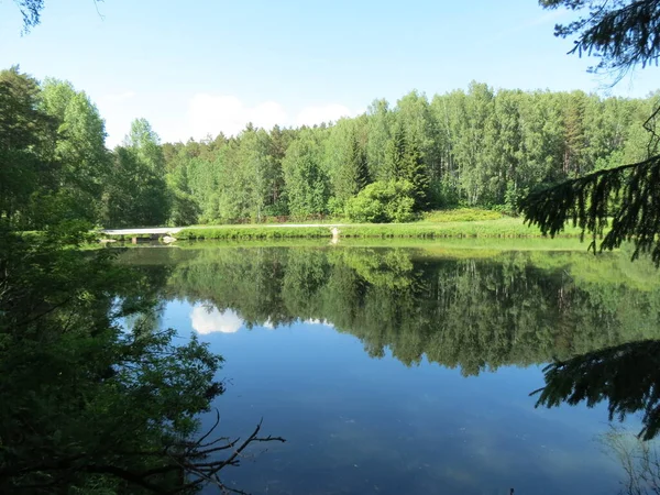 Pequeno Lago Floresta — Fotografia de Stock