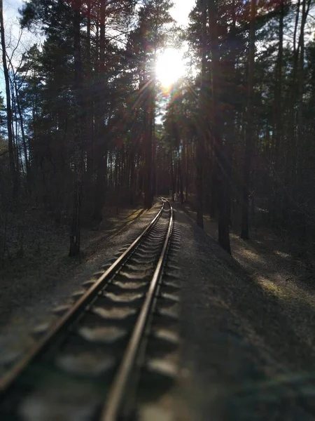 Kolej Lesie — Zdjęcie stockowe