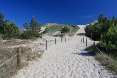 Polonya 'daki Slowinski Ulusal Parkı' ndaki Baltık Denizi 'nden kum tepelerine giden yol