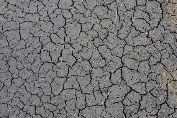 Drought, the ground cracks, no water, lack of moisture. Dried and Cracked ground, Cracked surface, Dry soil in arid areas.