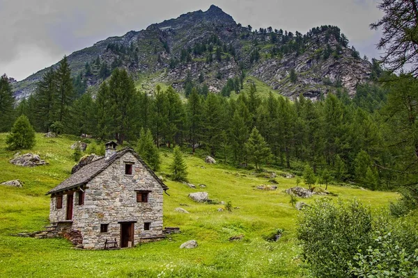 Stone Cottage Green Meadow Alpe Devero Lepontine Alps Ossola Piedmont — Stockfoto