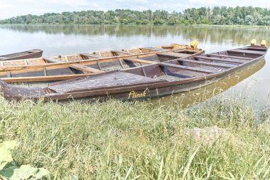 Masada duran enine flüt, karasinek.